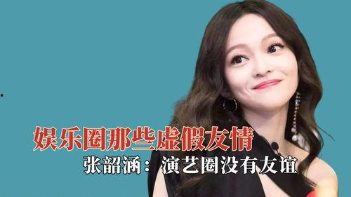 假娱乐圈,揭秘虚构世界的真实故事